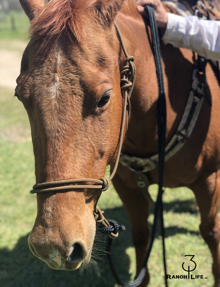 Halters & Lead Ropes – 310 Ranch Life